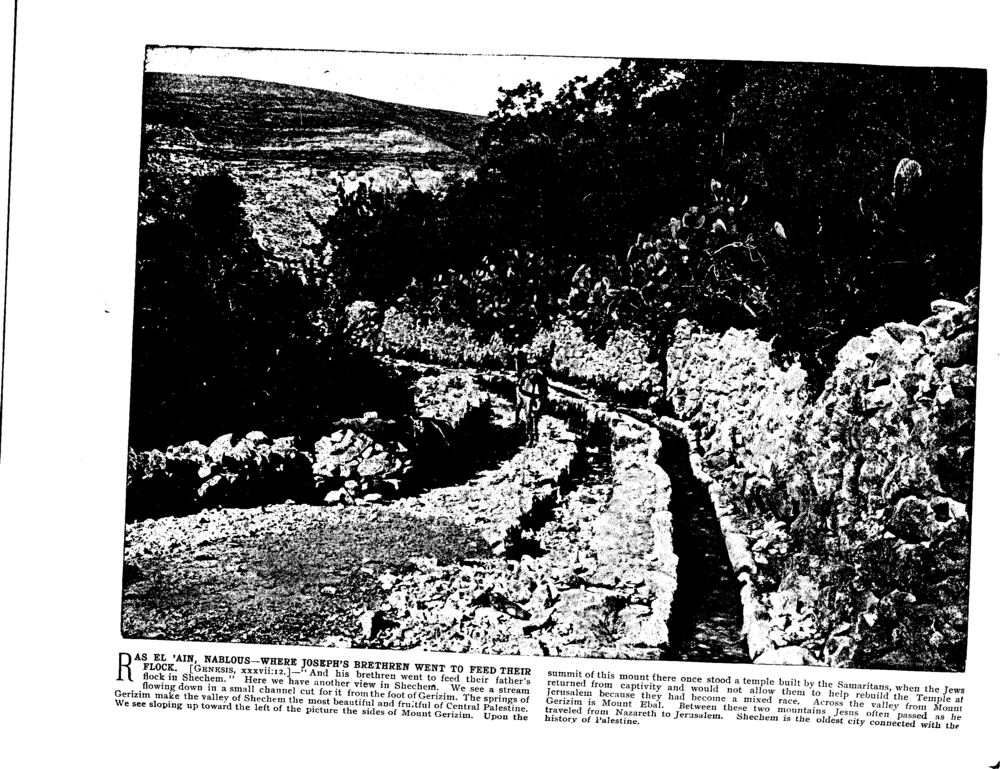 RAS EL 'AIN, NABLOUS—WHERE JOSEPH'S BRETHREN WENT TO FEED THEIR FLOCK. [Genesis, xxxvii:12.]