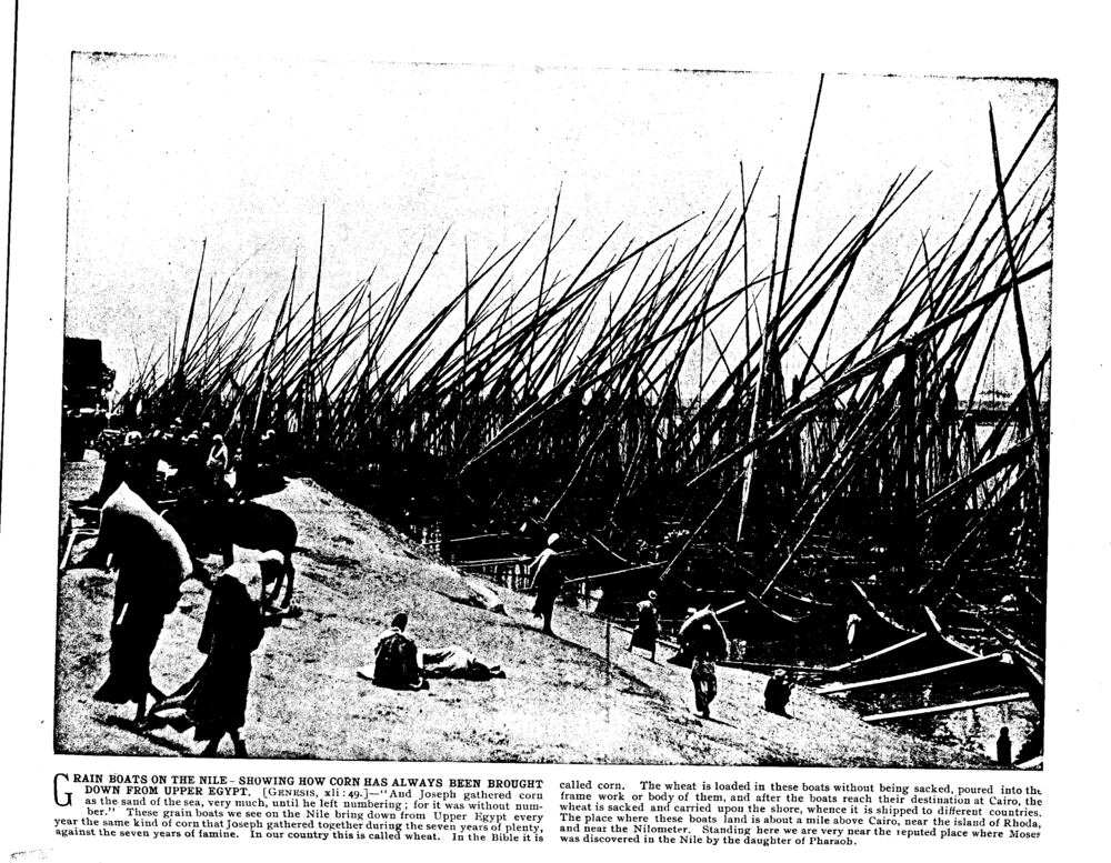 GRAIN BOATS ON THE NILE—SHOWING HOW CORN HAS ALWAYS BEEN BROUGHT DOWN FROM UPPER EGYPT. [Genesis, xli: 49.]