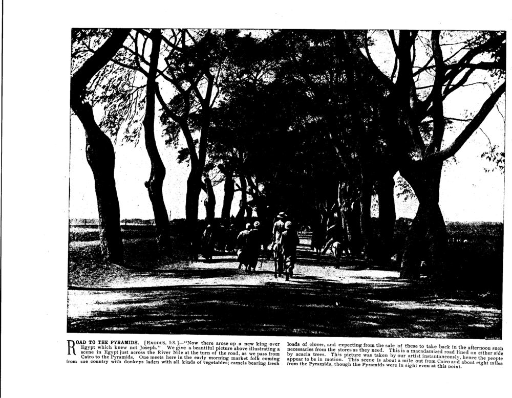 ROAD TO THE PYRAMIDS. [EXODUS, i:8.]