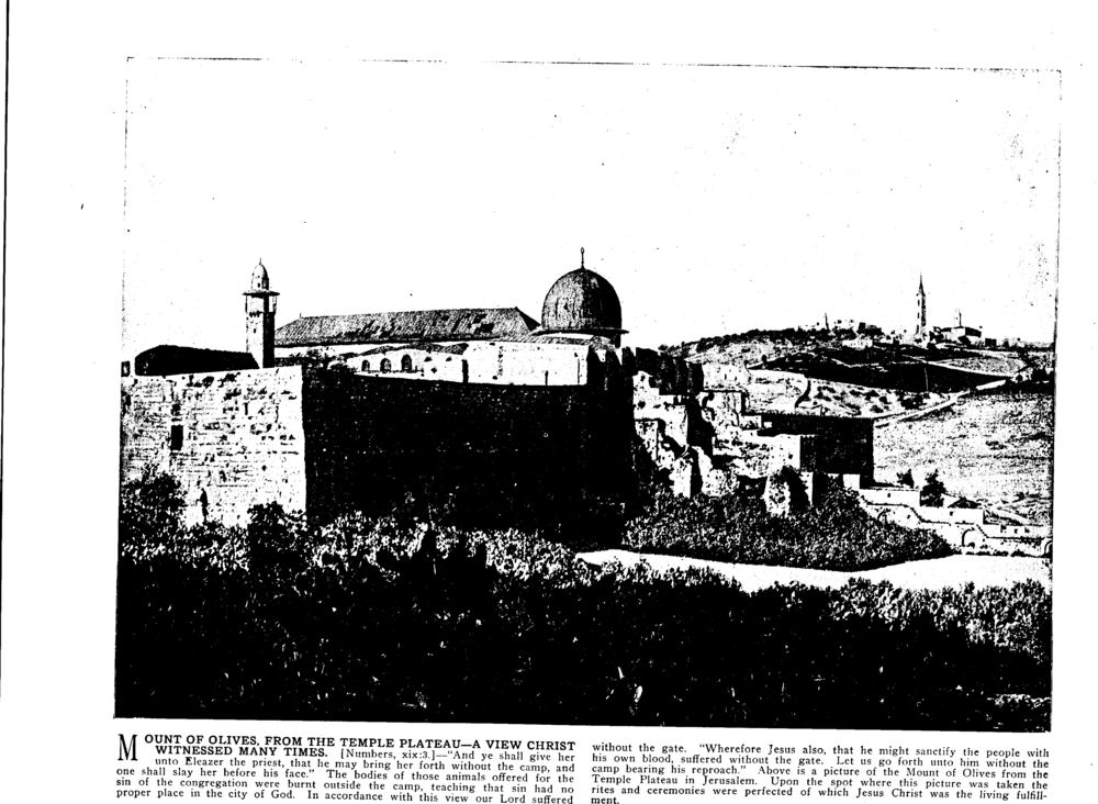 MOUNT OF OLIVES, FROM THE TEMPLE PLATEAU—A VIEW CHRIST WITNESSED MANY TIMES. [Numbers, xix:3.]