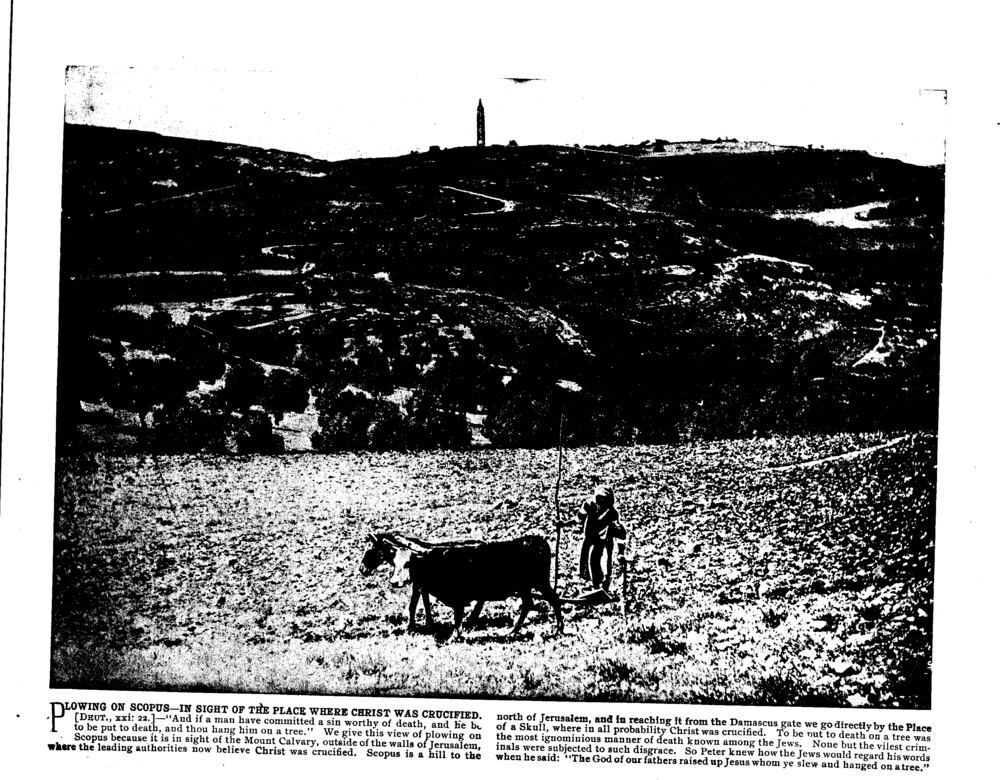 PLOWING ON SCOPUS—IN SIGHT OF THE PLACE WHERE CHRIST WAS CRUCIFIED. [Deut., xxi: 22.]