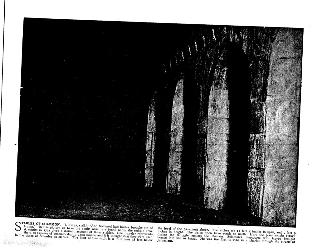 STABLES OF SOLOMON. [I. Kings, x:28.]