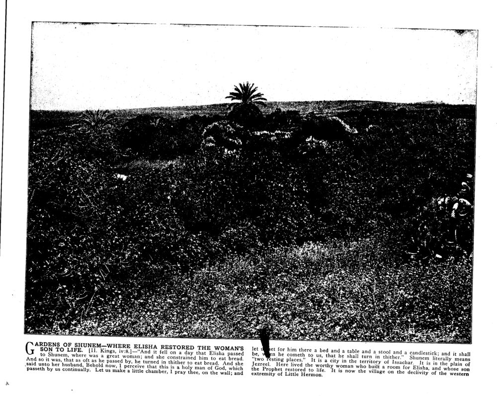 GARDENS OF SHUNEM—WHERE ELISHA RESTORED THE WOMAN'S SON TO LIFE. [II. Kings, iv:8.]