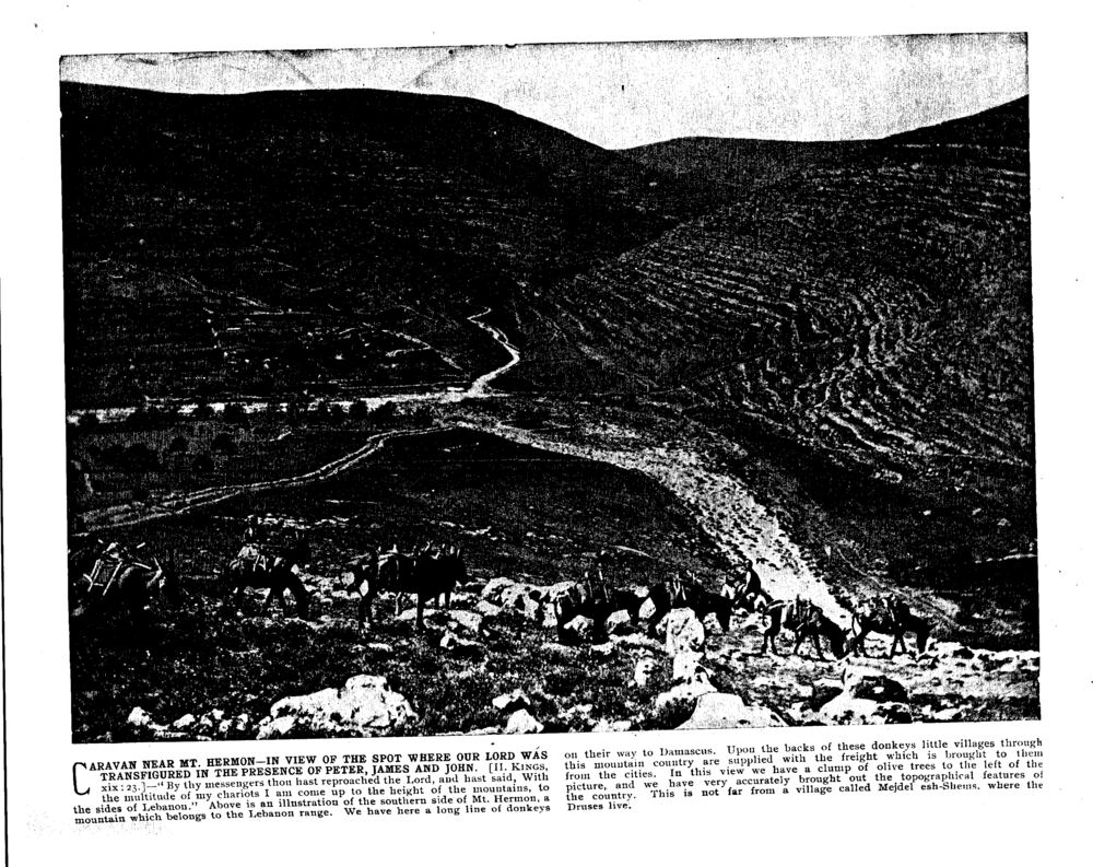 CARAVAN NEAR MT. HERMON—IN VIEW OF THE SPOT WHERE OUR LORD WAS TRANSFIGURED IN THE PRESENCE OF PETER, JAMES AND JOHN. [II. Kings, xix: 23.]