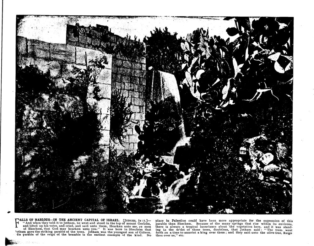 FALLS OF NABLOUS—IN THE ANCIENT CAPITAL OF ISRAEL. [Judges, ix: 7.]