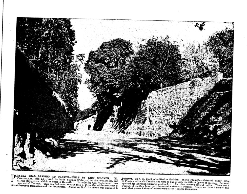 PALMYRA ROAD, LEADING TO TADMOR—BUILT BY KING SOLOMON. [II. CHRONICLES, viii: 4.]