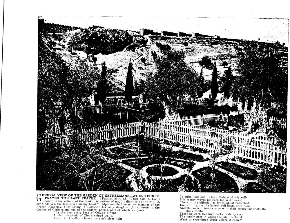 GENERAL VIEW OF THE GARDEN OF GETHSEMANE—WHERE CHRIST PRAYED THE LAST PRAYER. [Psalms, xl:7, 8.]