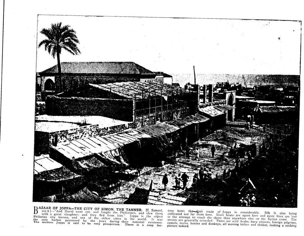 BAZAAR OF JOPPA—THE CITY OF SIMON, THE TANNER. [I. Samuel, xix:8.]