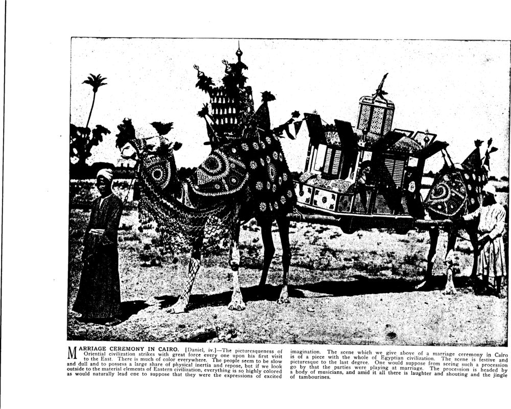 MARRIAGE CEREMONY IN CAIRO. [Daniel, iv.]